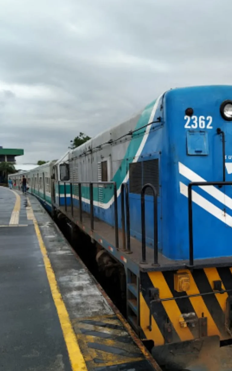 Após cinco dias, circulação de trem em Guapimirim é restabelecida