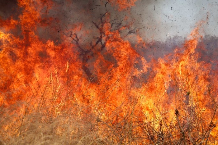 Calor e fogo: “A gente está assustado”, afirma presidente do Ibama