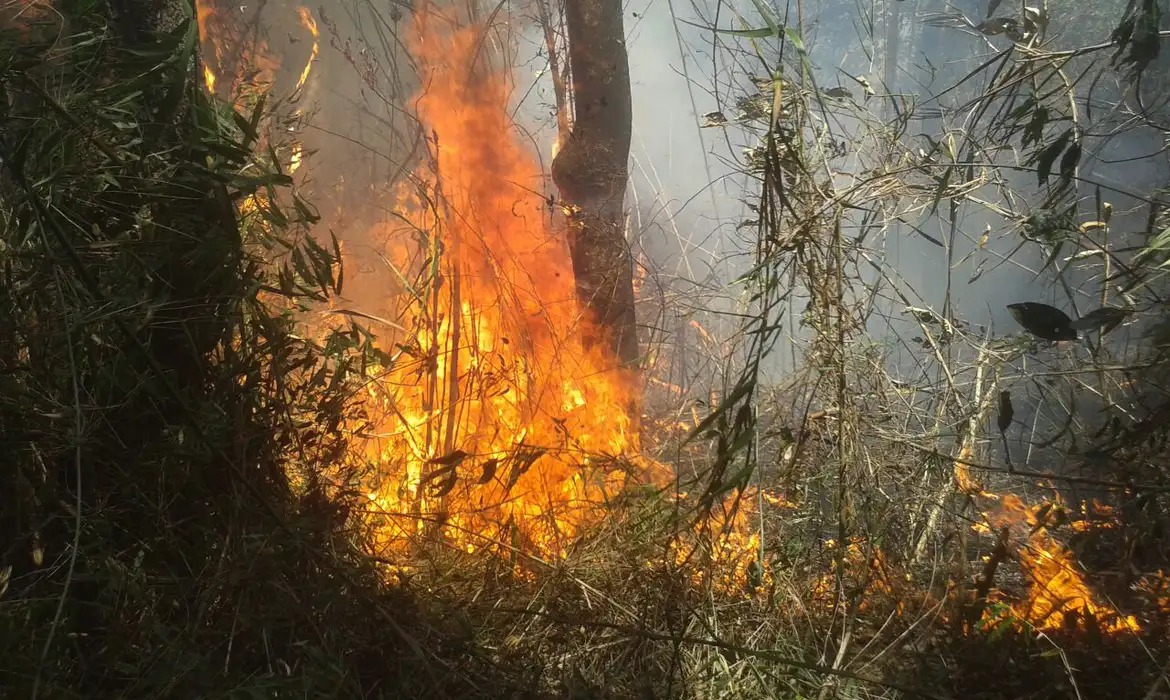 “Certamente alguém pôs fogo”, diz chefe do Parque da Serra dos Órgãos