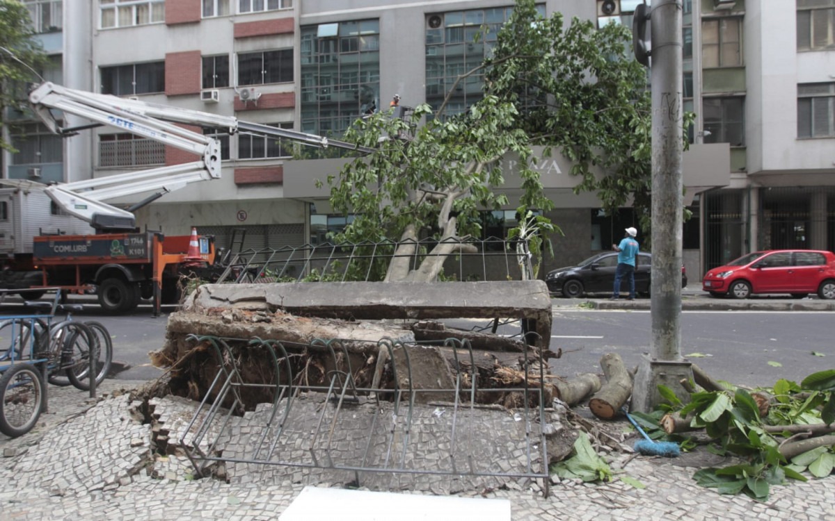 Após chuva intensa, Rio ainda enfrenta estragos com vias interditadas e quedas de árvores